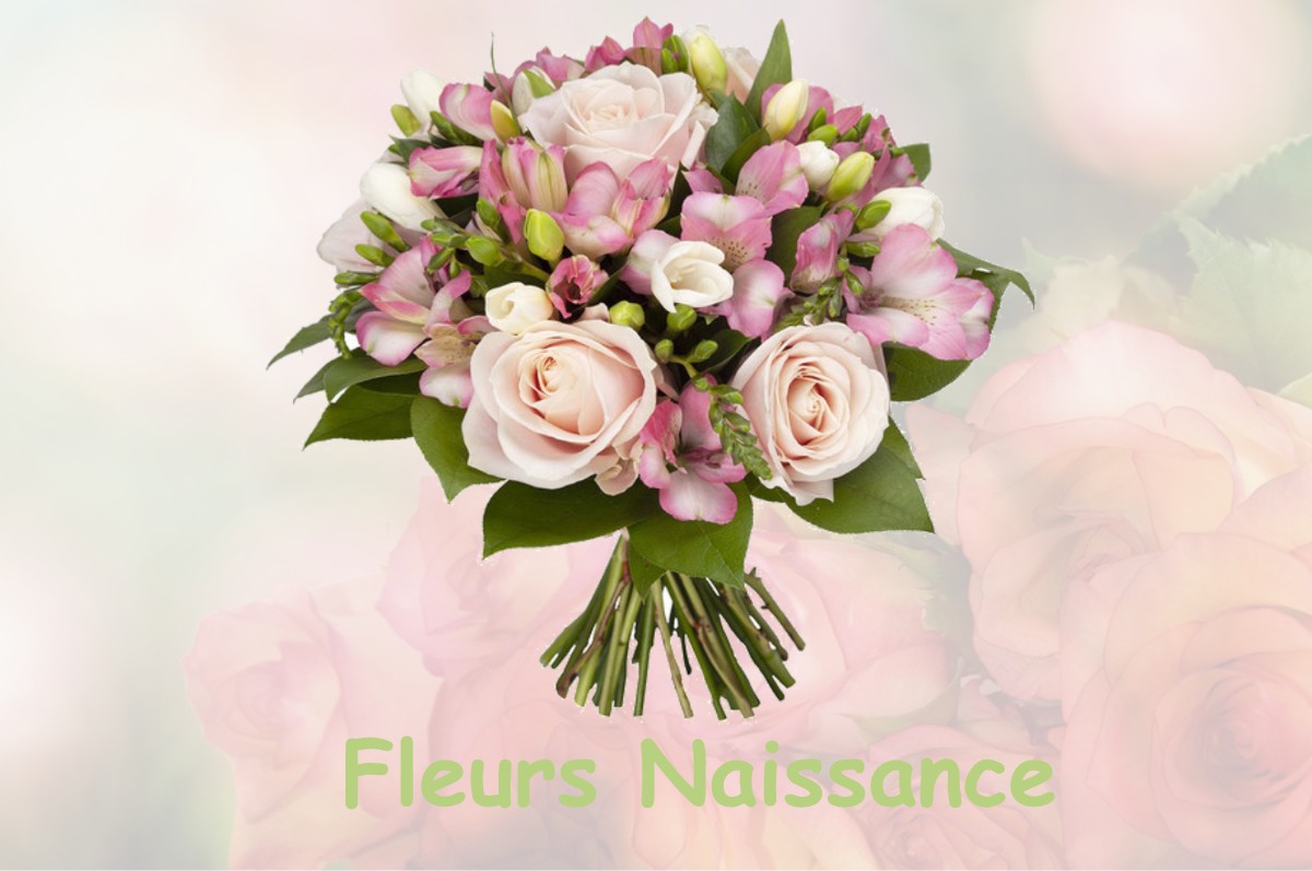 fleurs naissance TOUET-DE-L-ESCARENE