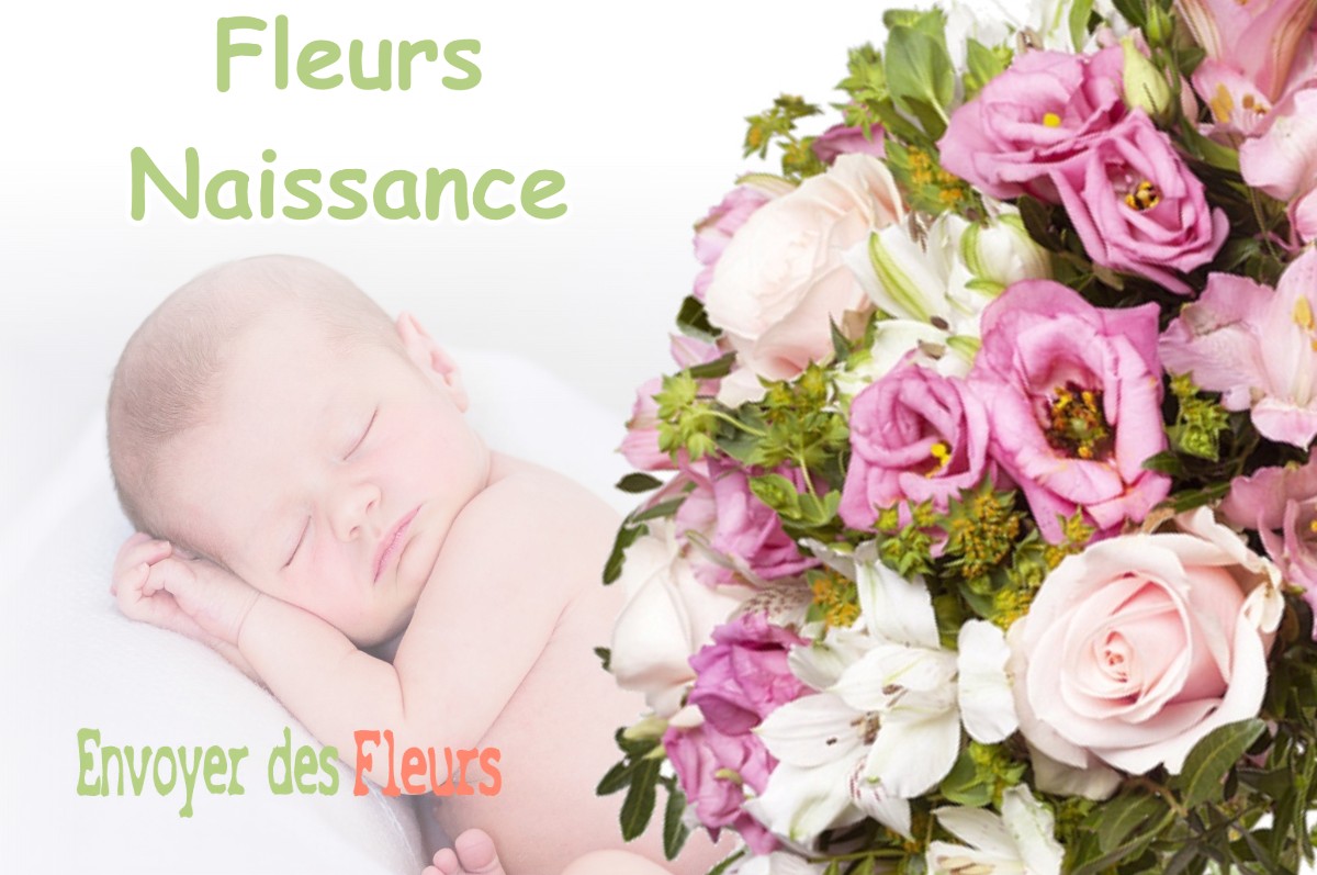 lIVRAISON FLEURS NAISSANCE à TOUET-DE-L-ESCARENE